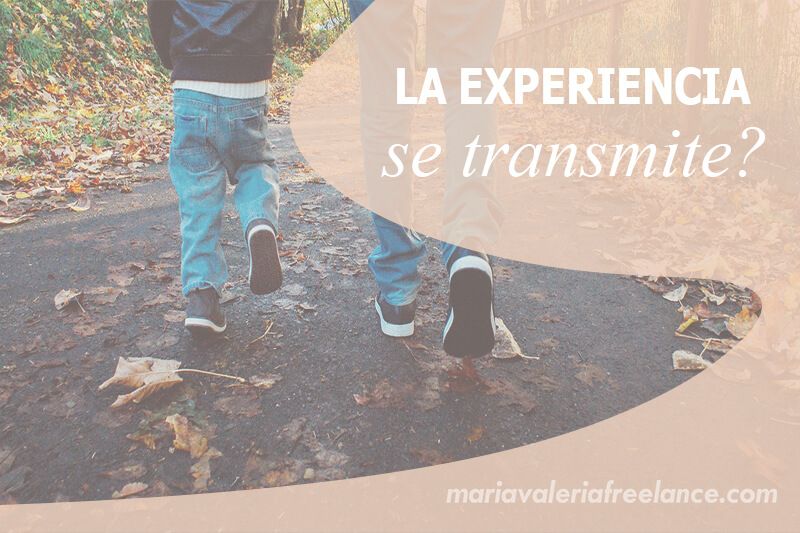 experiencias