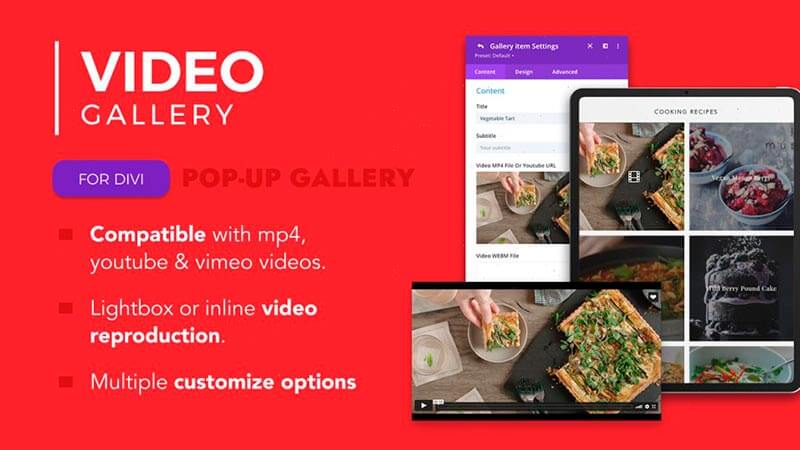 Video Gallery Divi Plugin