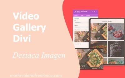 Crea Increíbles Galerías de Vídeo con Divi • Destaca Imagen